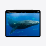 Apple 13-inch iPad Pro (M4) WiFi 512GB with Standard glass - Space Black - Image 5