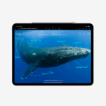 Apple 13-inch iPad Pro (M4) WiFi 256GB with Standard glass - Space Black - Image 5
