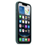 Калъф от Apple за iPhone 16e Silicone Case Lake Green - Image 2