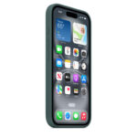Калъф от Apple за iPhone 16 Silicone Case with MagSafe - Lake Green (Seasonal) - Image 2